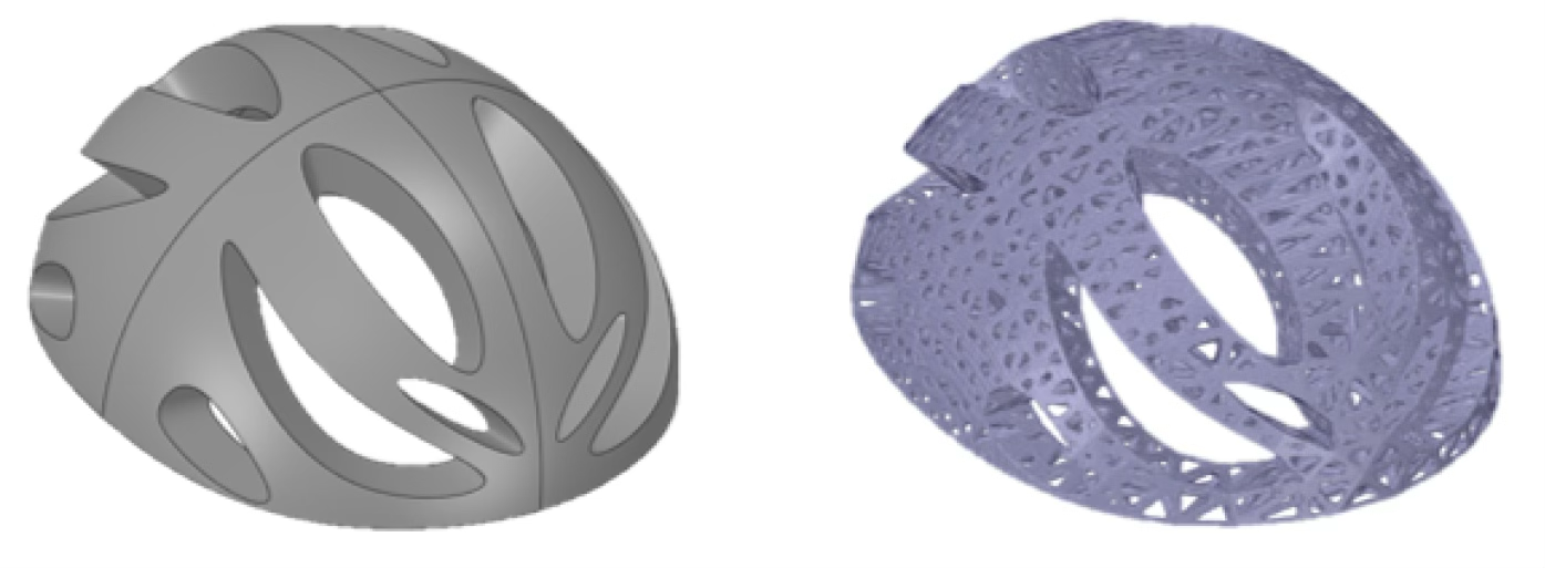 Cell3DP-BME - 3D Printing with Anisotropic Lattice Patterns for Biomedical