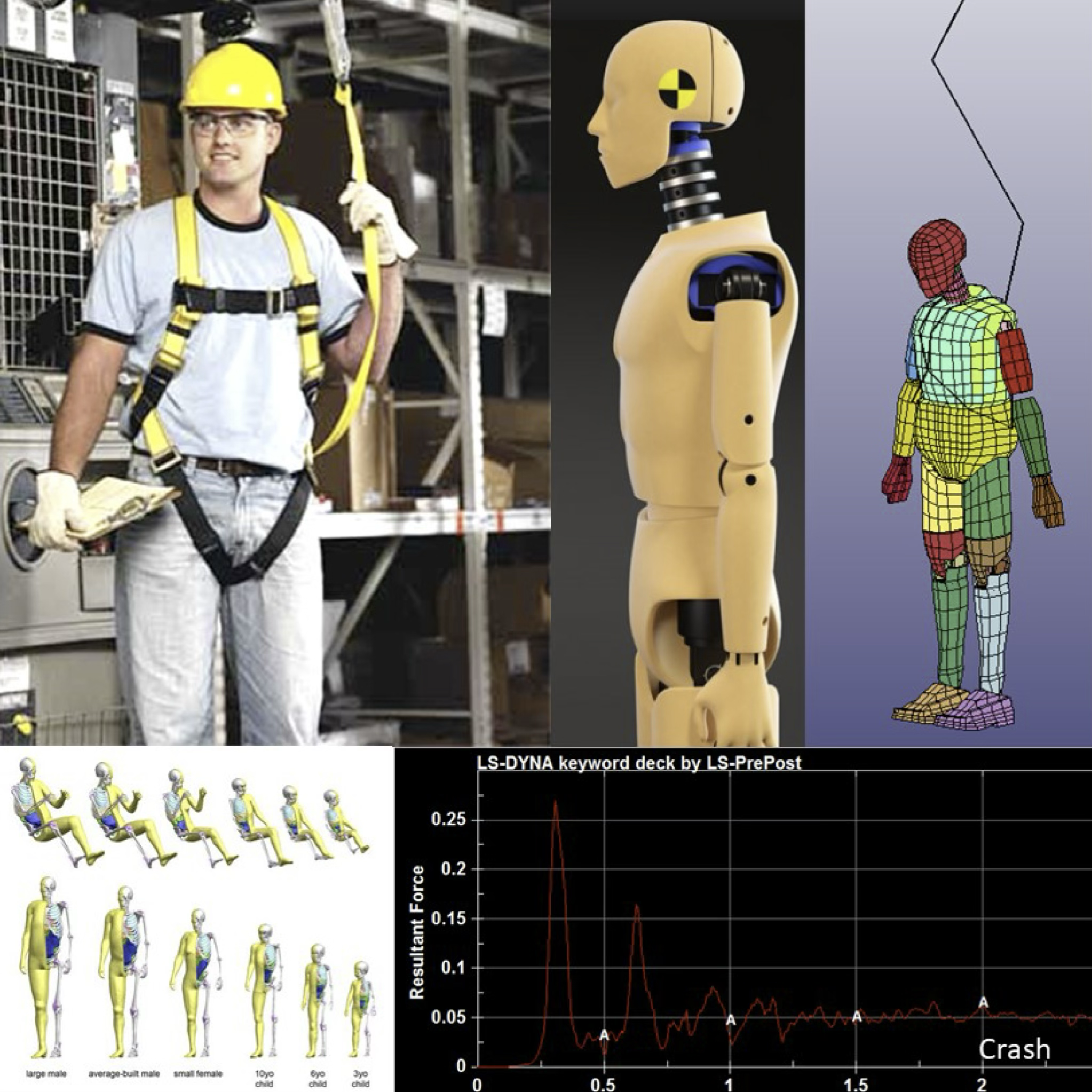 Crash - Digital Crash Dummy for Safety Gear Product Optimization