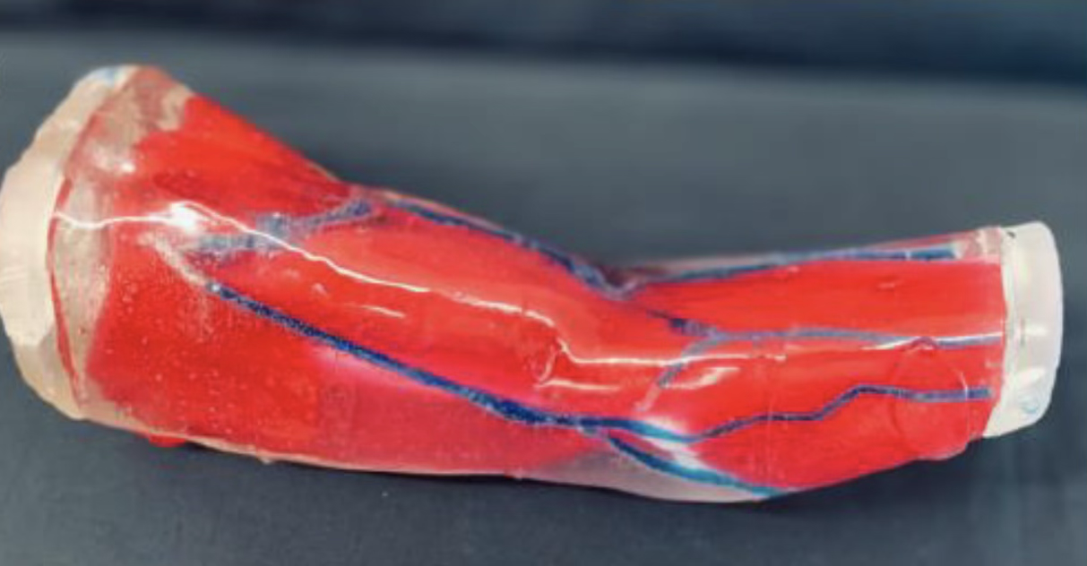 Medical Phantom for Surgical Training