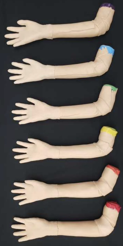 Medical Phantom for Surgical Training